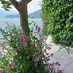 L'oleandro Sul D'iseo Frühstückspension