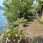 Frühstückspension L'oleandro Sul D'iseo Sulzano