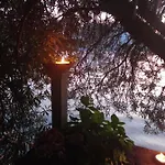 L'oleandro Sul D'iseo *