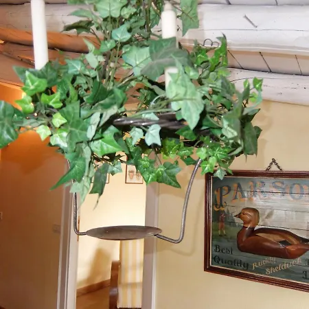 Bed & Breakfast L'oleandro Sul D'iseo