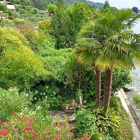 L'oleandro Sul D'iseo Sulzano