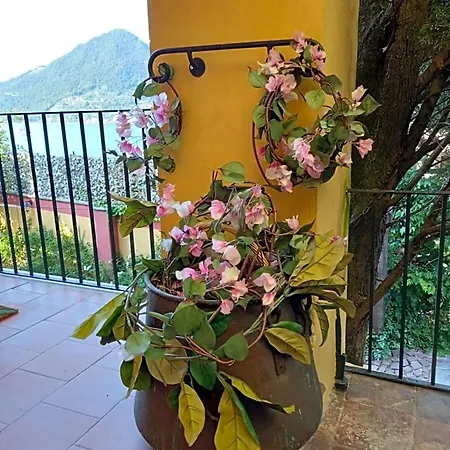 L'oleandro Sul D'iseo Sulzano