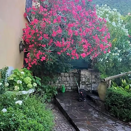 L'oleandro Sul D'iseo 4*