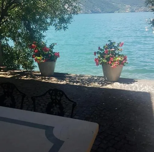 L'oleandro Sul D'iseo סולאזנו