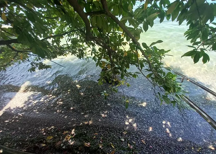 L'oleandro Sul D'iseo *