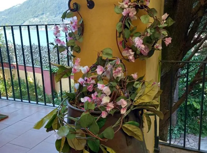 L'oleandro Sul D'iseo *